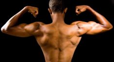 Izgradnja Mišića