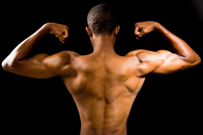 Izgradnja Mišića